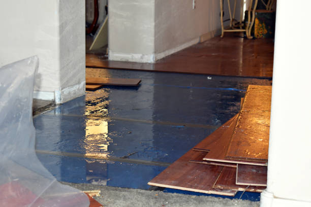 Professional Emergency Water Damage Restoration technician working in Mcbrides, MI